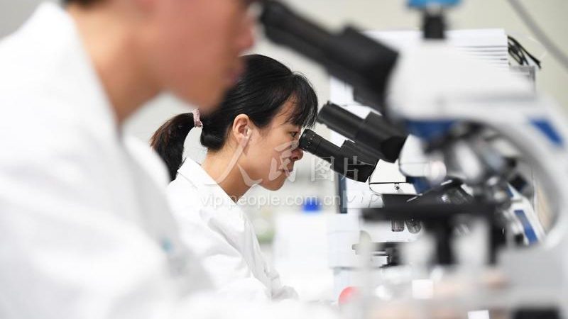 生物制品注册申报周期：揭秘其关键环节与影响因素**