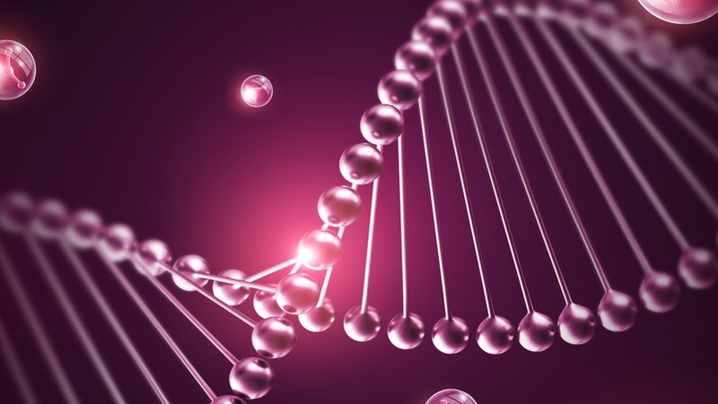 一份完整的实验室耗材报价清单通常包括以下内容：