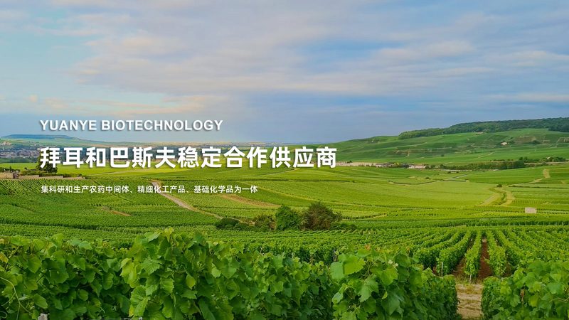 基因测序：解码生命奥秘，国内公司排名揭秘