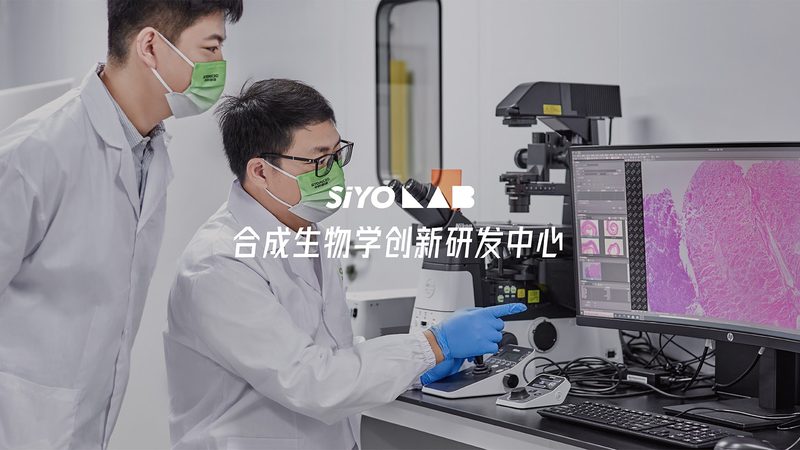 广州酶制剂批发厂家：如何选择合适的供应商？**