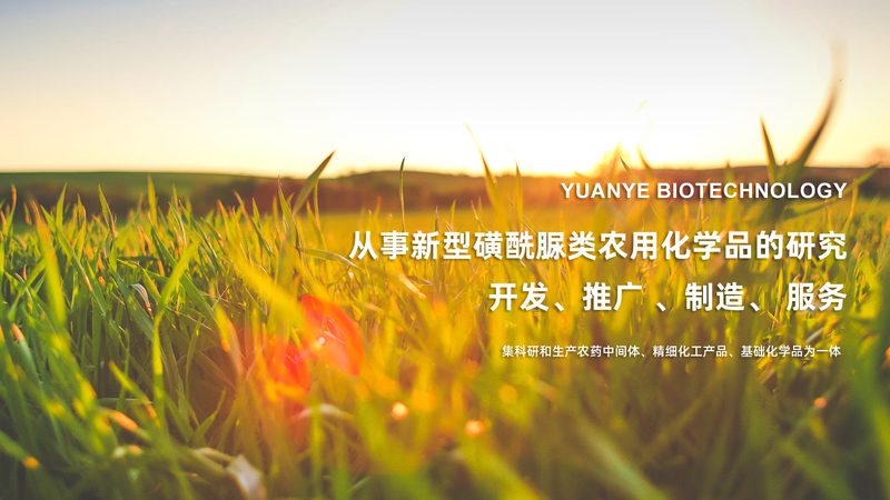 细胞培养箱湿度控制：关键标准与实际应用**