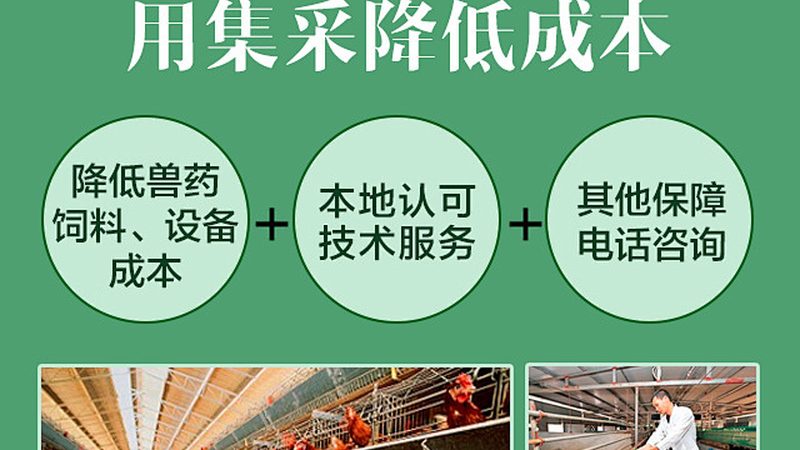 重组蛋白生物制品GMP生产厂家：揭秘背后的质量控制体系**