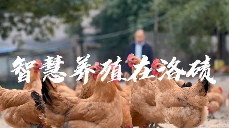 国产移液器：揭秘背后的技术密码**