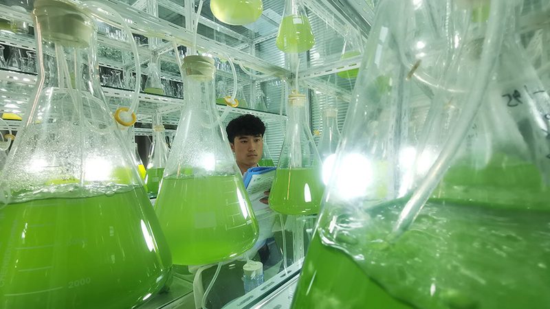 北京基因检测中心实验室标准：合规之路上的关键要素**